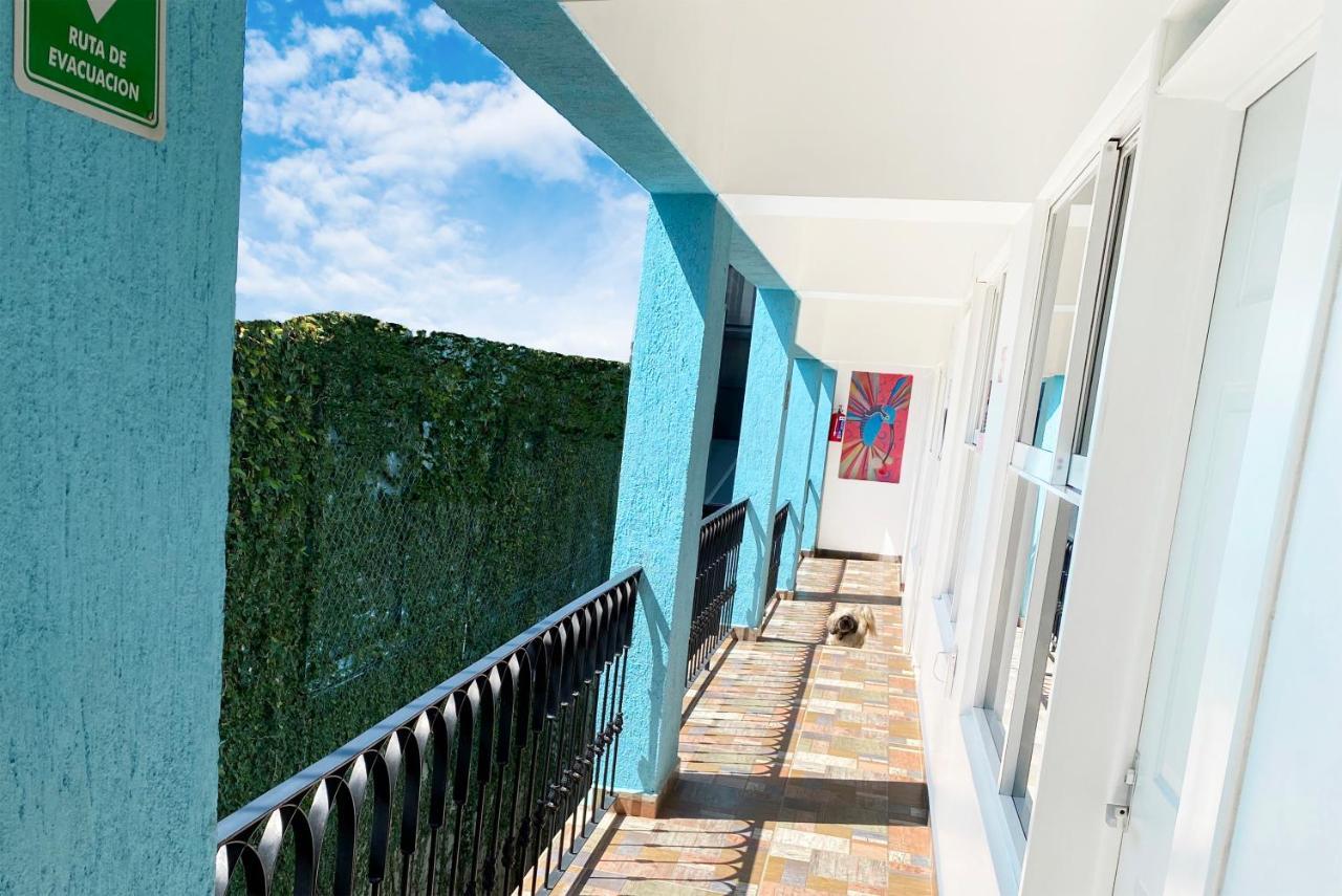 Casa Mayahuel Hostel Oaxaca