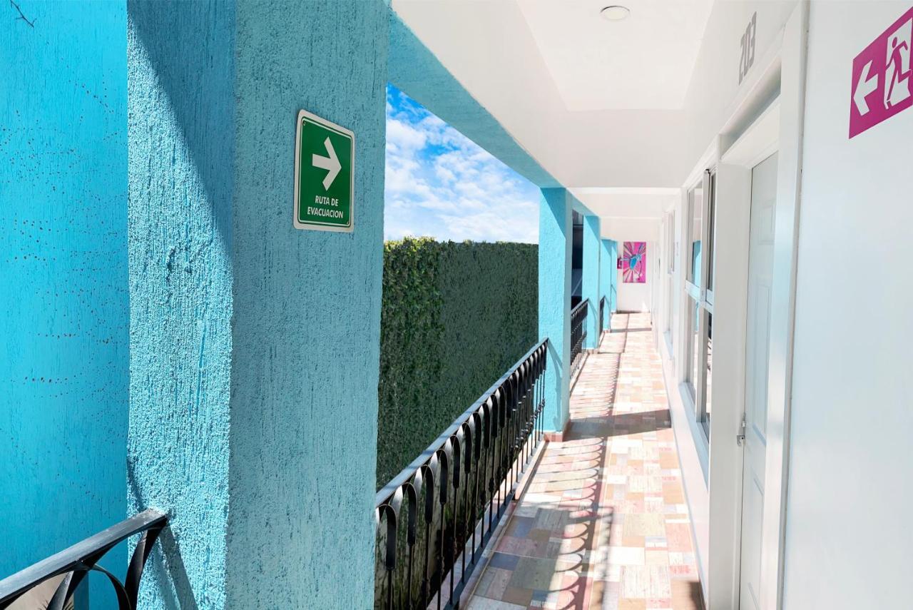 Casa Mayahuel Oaxaca