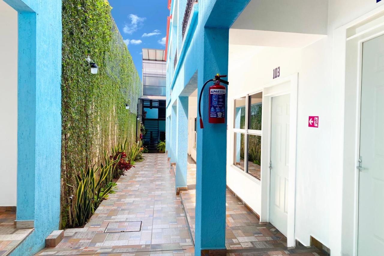 Casa Mayahuel Oaxaca