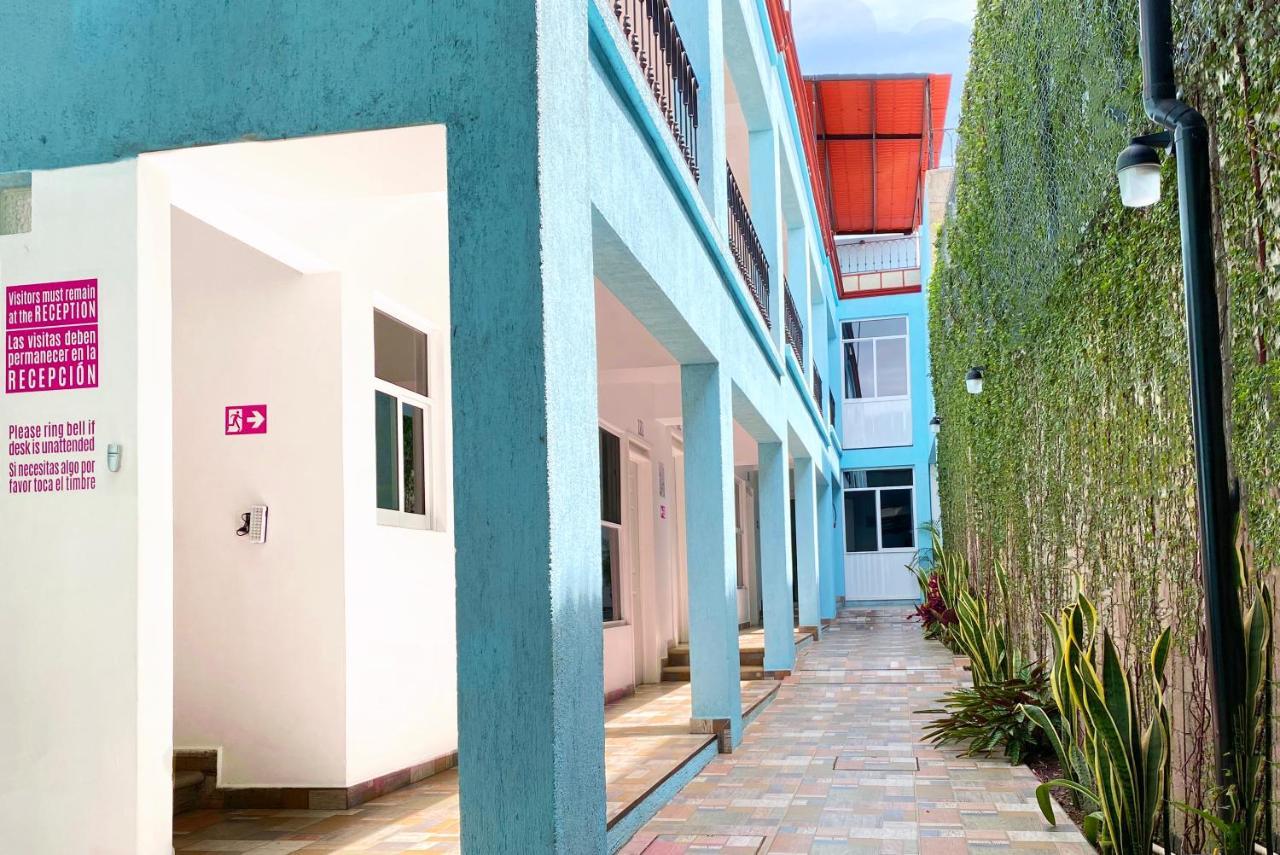 Casa Mayahuel